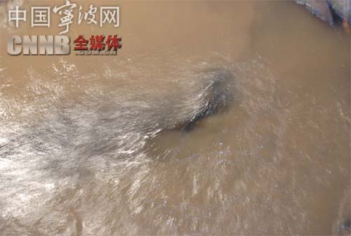 中国·1277星际电子游戏(股份有限公司)-Official website