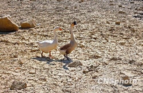 中国·1277星际电子游戏(股份有限公司)-Official website