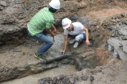 中国·1277星际电子游戏(股份有限公司)-Official website