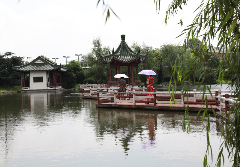 公园式的酒店花圃