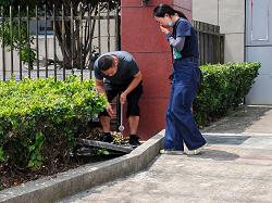 50f88d80ea56ca65f8d30501c39bb590